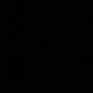 Meet your Posher, Mattie